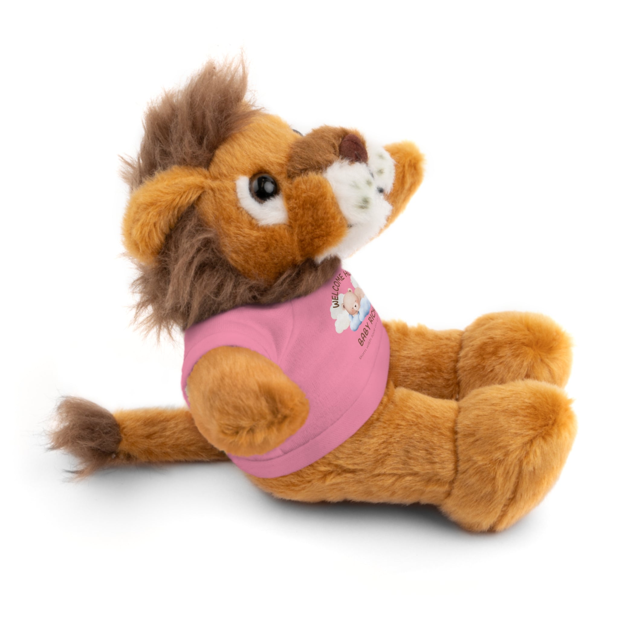 Personalized Stuffed Animals with Tee | different colors and animals available