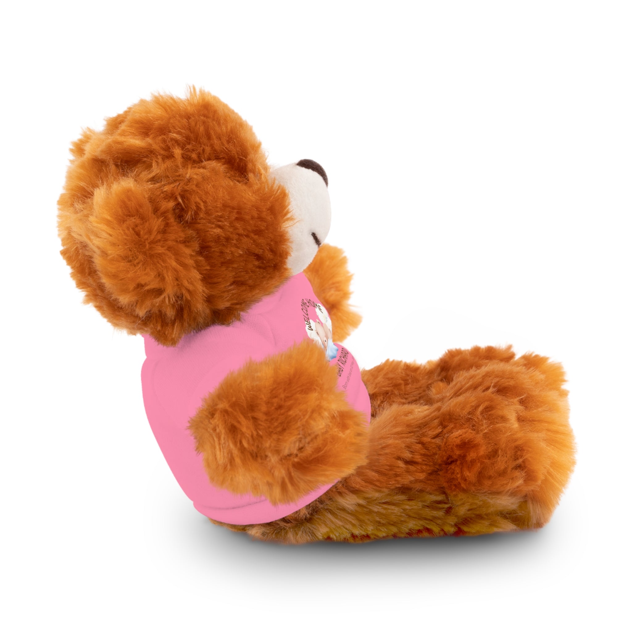 Personalized Stuffed Animals with Tee | different colors and animals available
