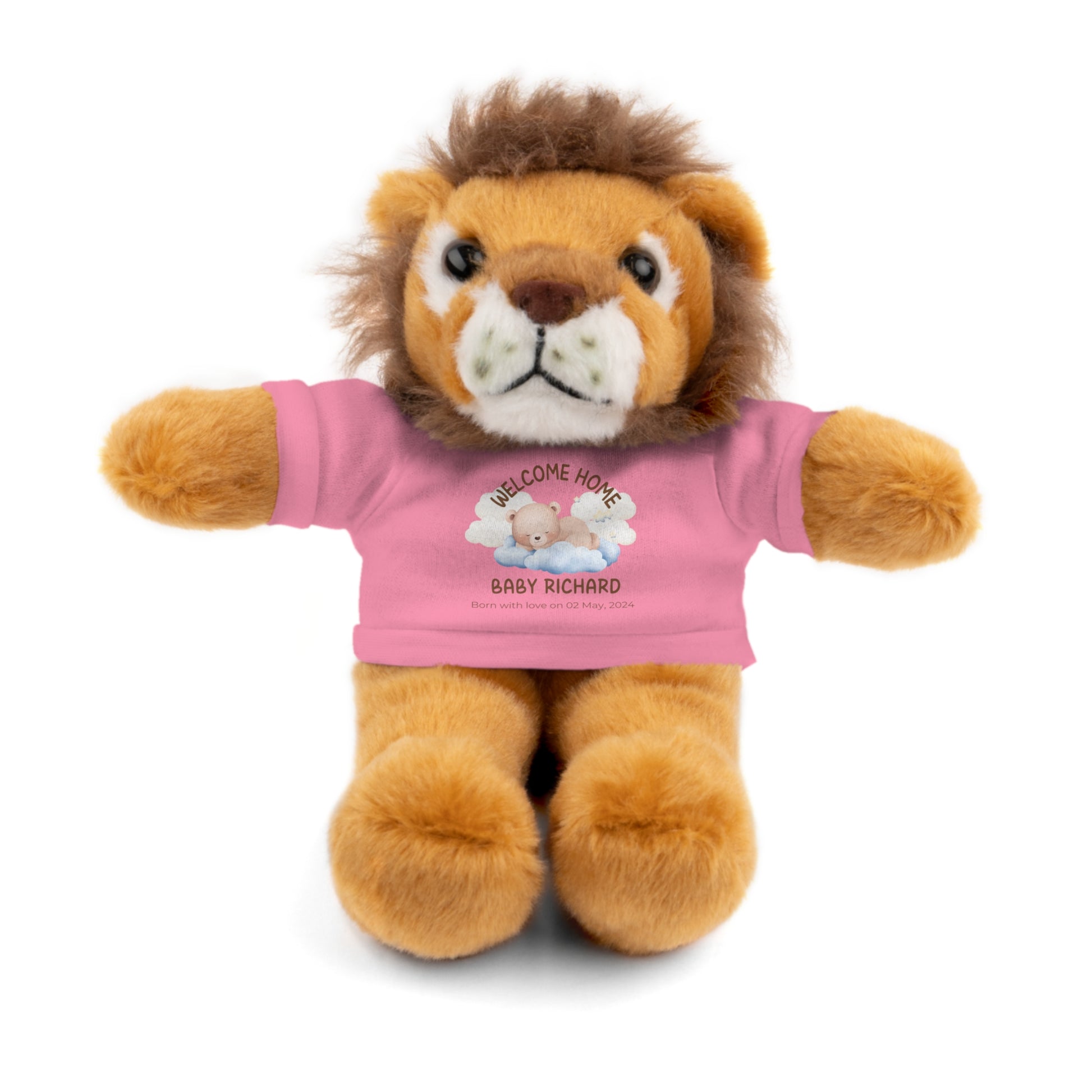 Peluches personalizados con camiseta | diferentes colores y animales disponibles