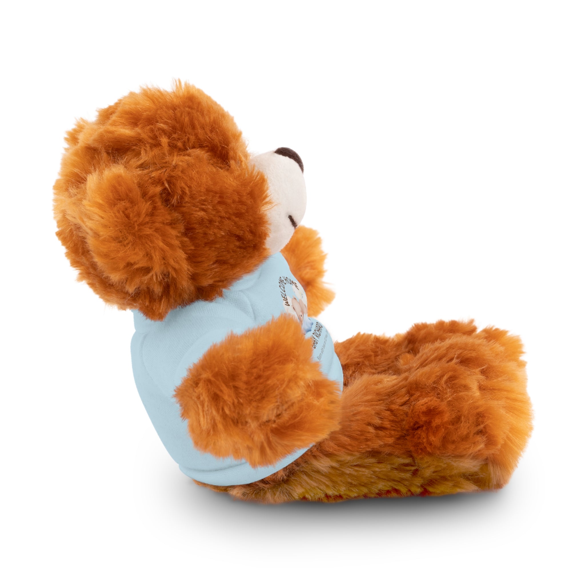 Personalized Stuffed Animals with Tee | different colors and animals available